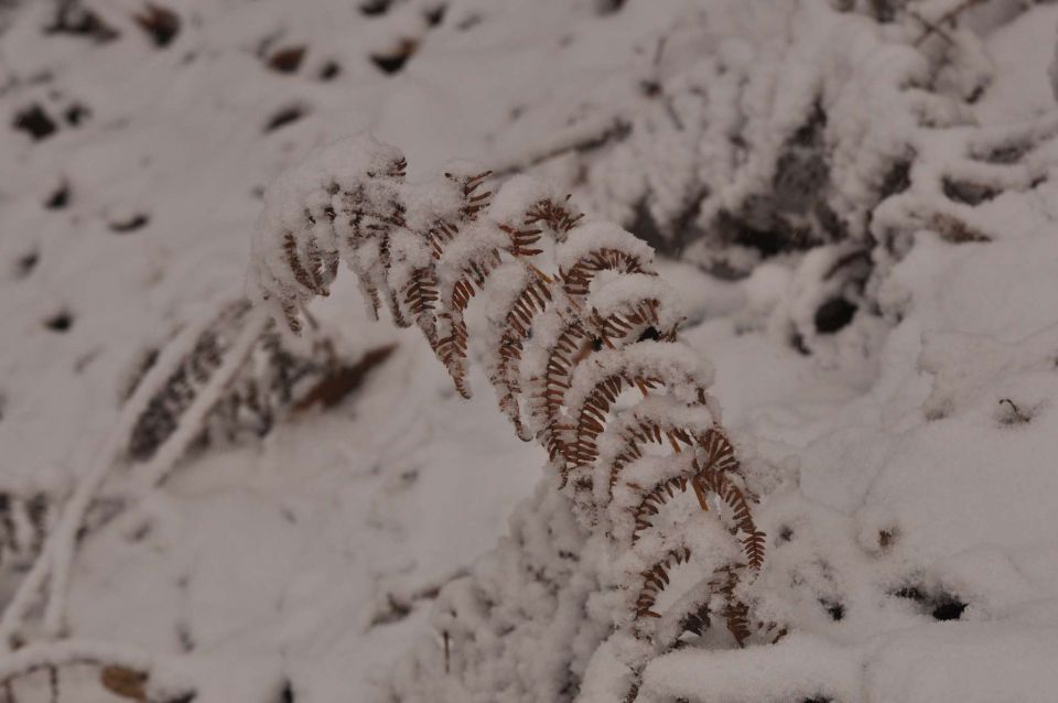 Celjska koča 2.12.2012 - foto povečava