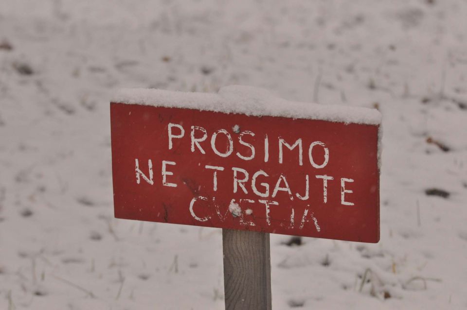 Celjska koča 2.12.2012 - foto povečava