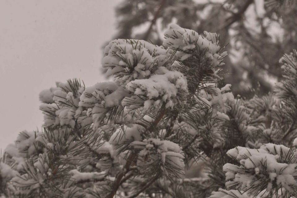 Celjska koča 2.12.2012 - foto povečava