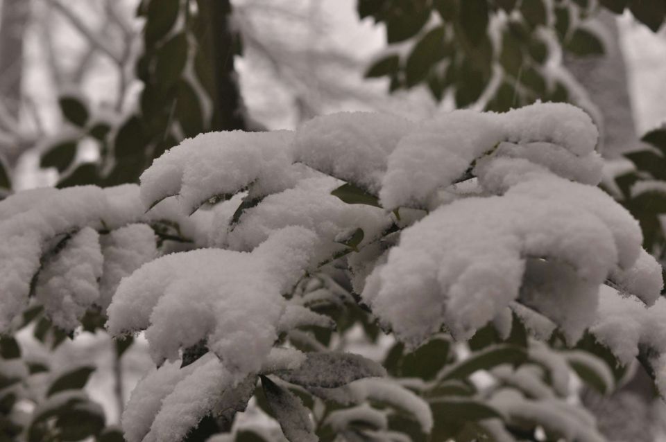 Celjska koča 2.12.2012 - foto povečava