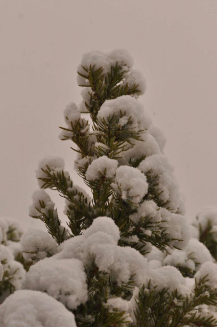 Celjska koča 2.12.2012 - foto