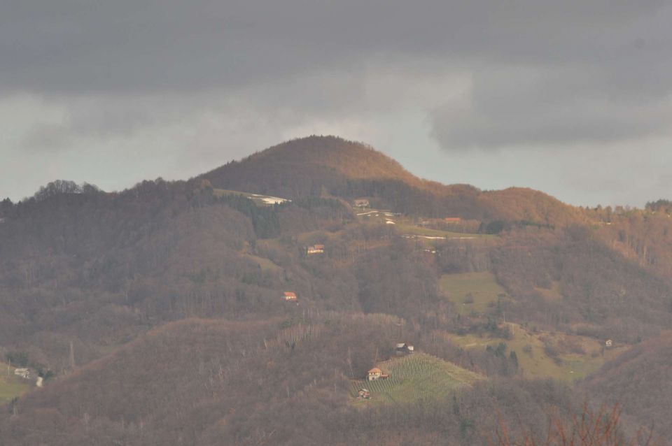 Pečica 25.12.2012 - foto povečava