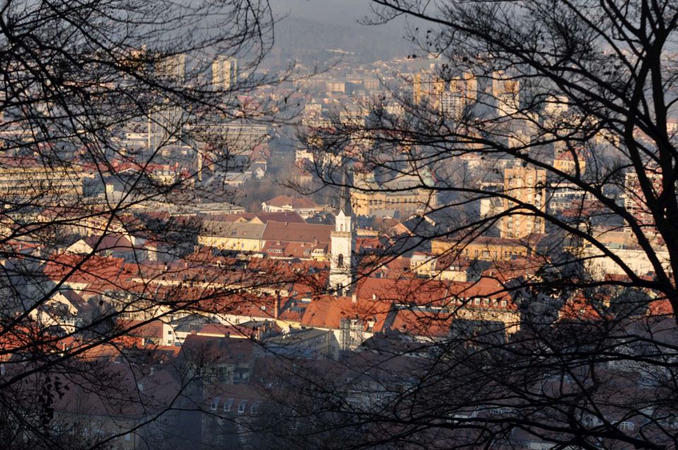 Celje sprehod skozi Mestni gozd 31.12.2012 - foto povečava