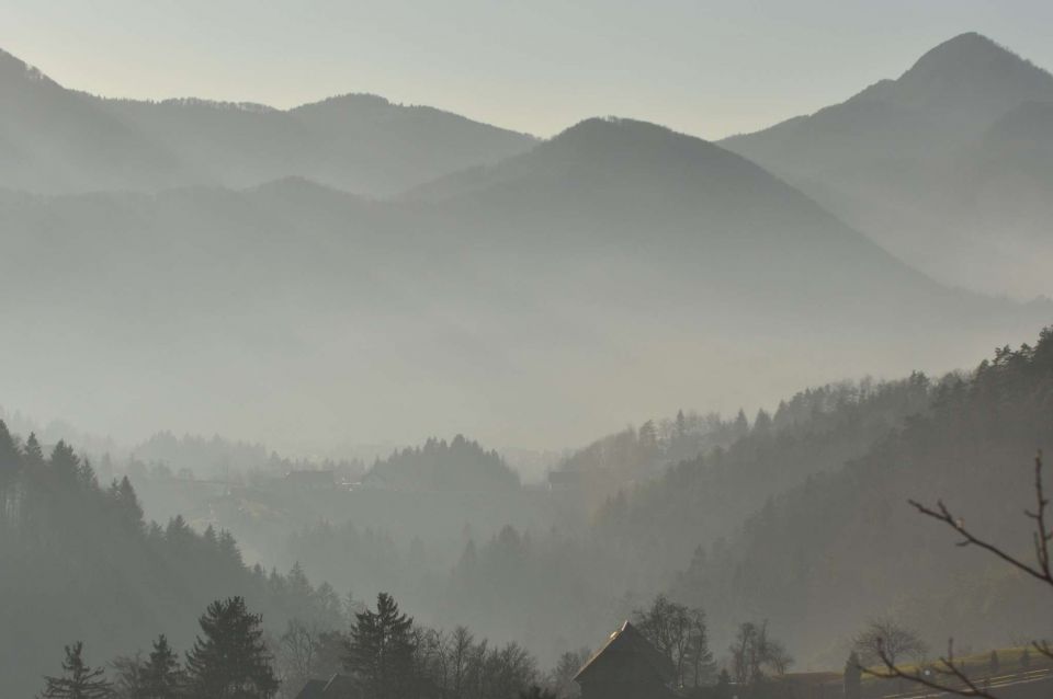 Celje sprehod skozi Mestni gozd 31.12.2012 - foto povečava