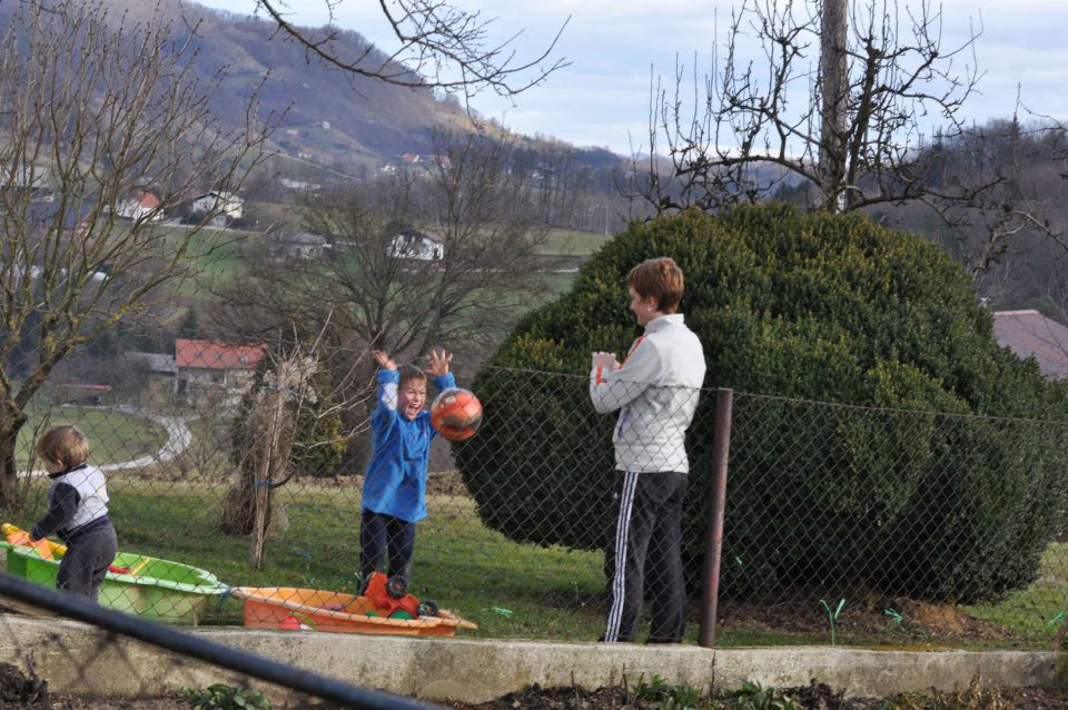 Pečica koline 5.1.2012 - foto povečava