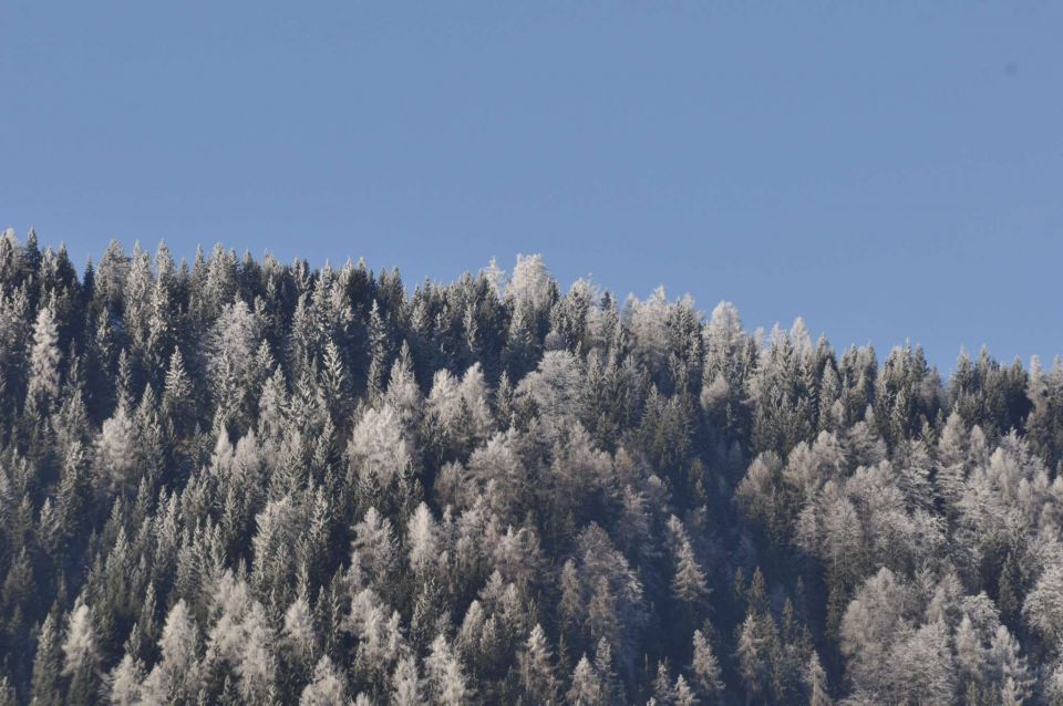 Golte 12.1.2013 - foto povečava