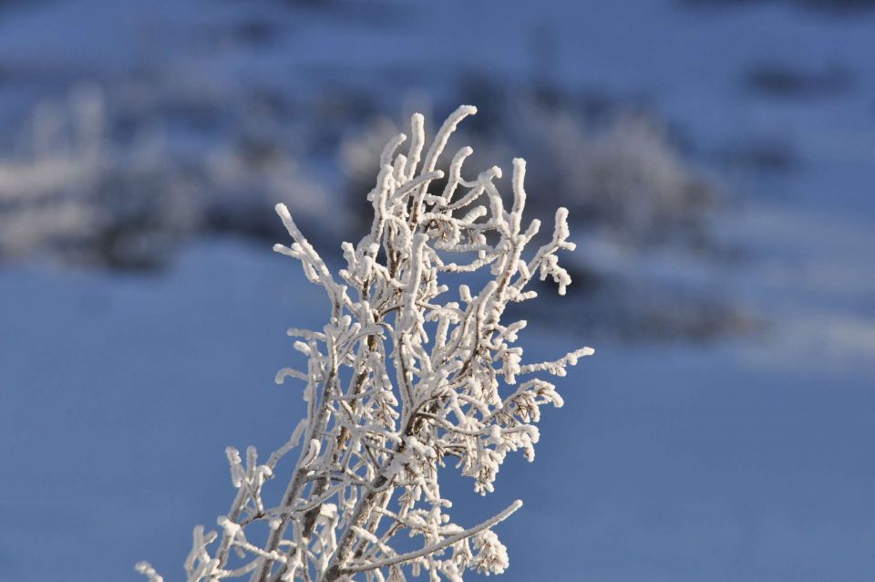 Golte 12.1.2013 - foto povečava