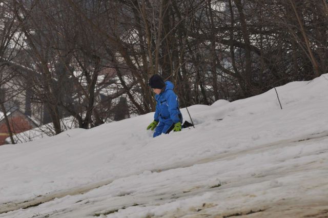 Celje Golovec 22.1.2013 - foto