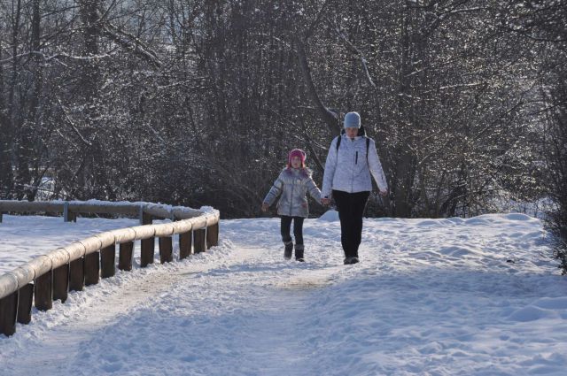 Šmartinsko jezero 26.1.2013 - foto