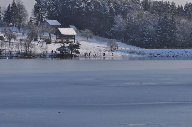 Šmartinsko jezero 26.1.2013 - foto