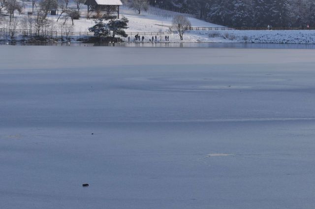 Šmartinsko jezero 26.1.2013 - foto