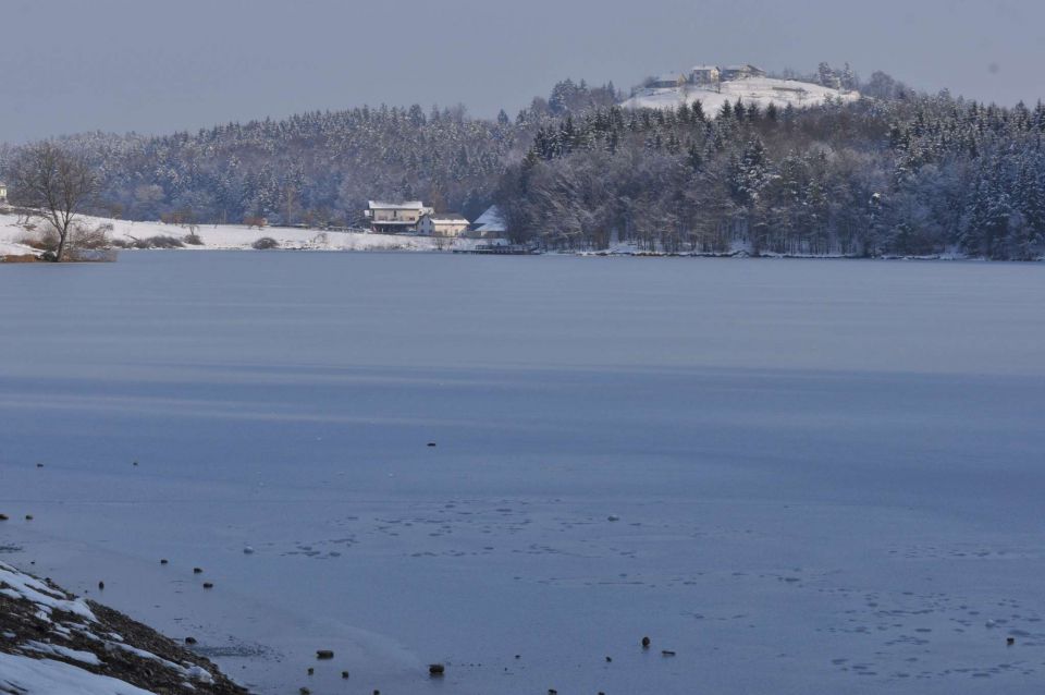 Šmartinsko jezero 26.1.2013 - foto povečava