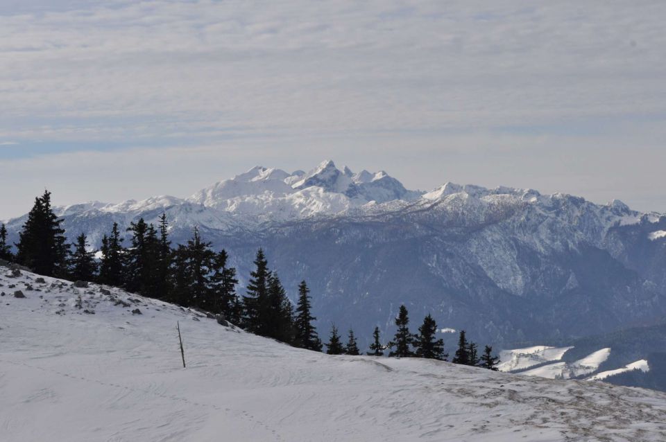 Golte 27.1.2013 - foto povečava