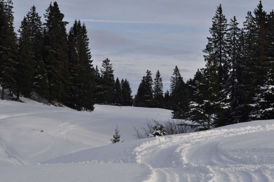 Golte 27.1.2013 - foto povečava