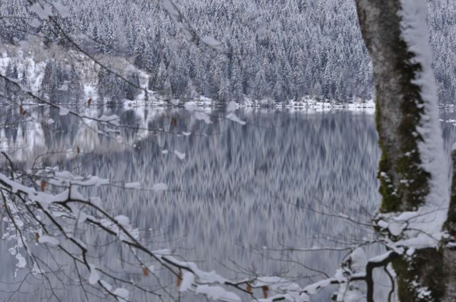 Smučanje Vogel 8-9.2.2013 - foto