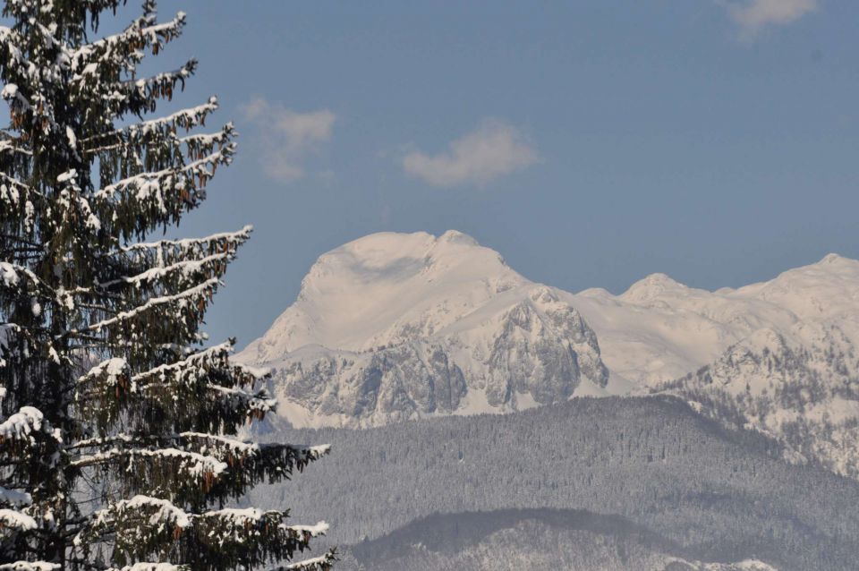 Smučanje Pokljuka 10.2.2013 - foto povečava