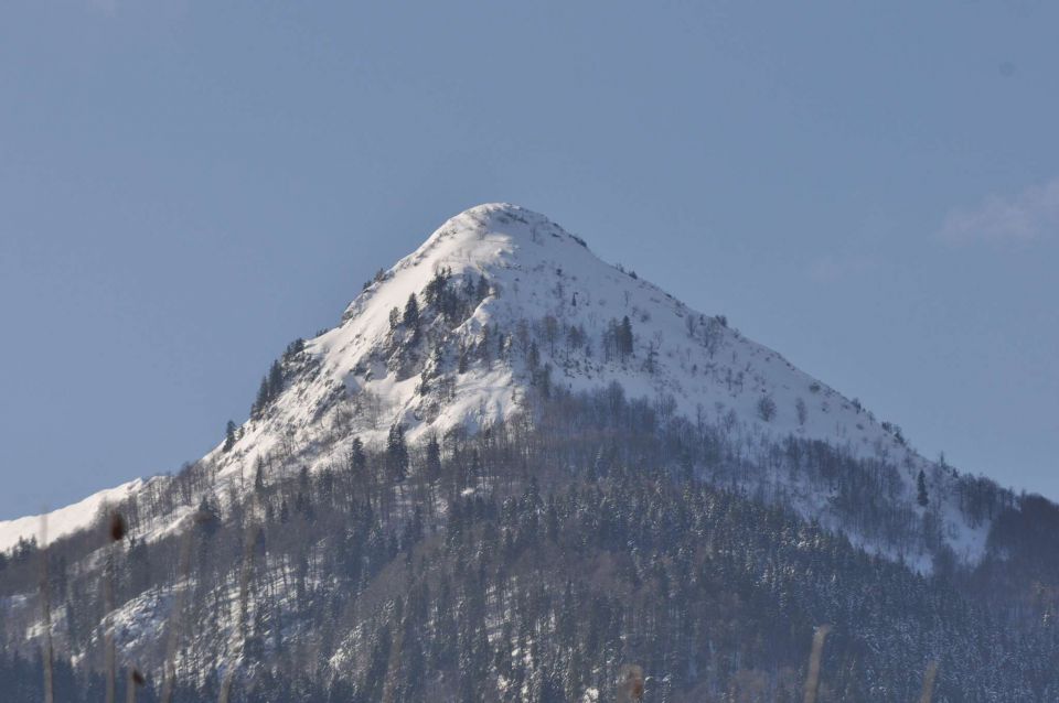 Smučanje Pokljuka 10.2.2013 - foto povečava