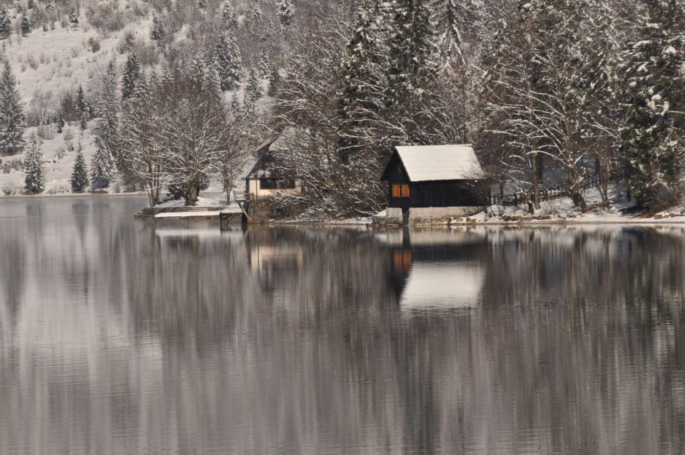 Smučanje Pokljuka 10.2.2013 - foto povečava