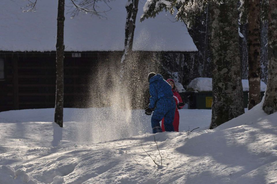 Smučanje Pokljuka 10.2.2013 - foto povečava