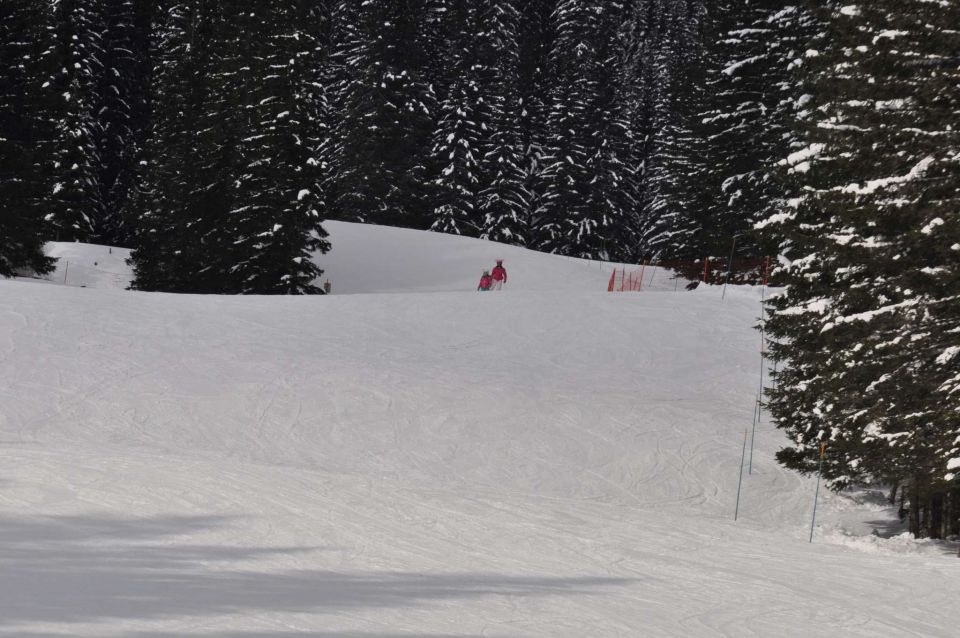 Smučanje Pokljuka 10.2.2013 - foto povečava