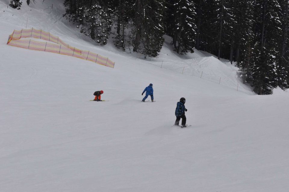 Smučanje Pokljuka 10.2.2013 - foto povečava