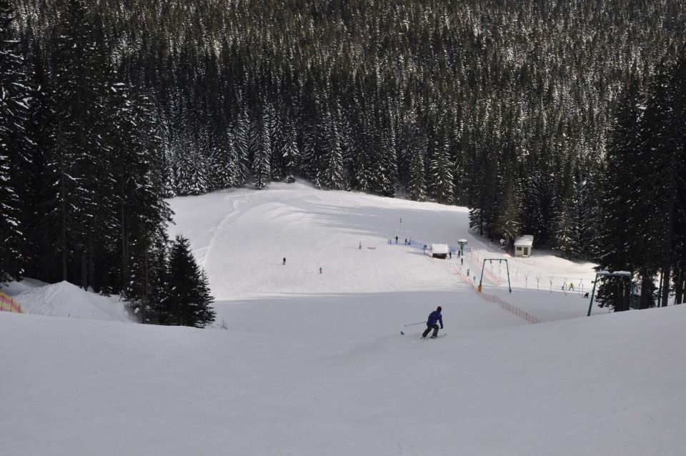 Smučanje Pokljuka 10.2.2013 - foto povečava