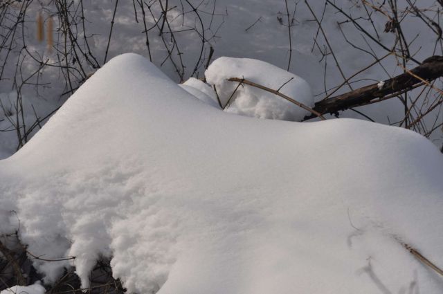 Pust, pohod Celjska koča 16.2.2013 - foto