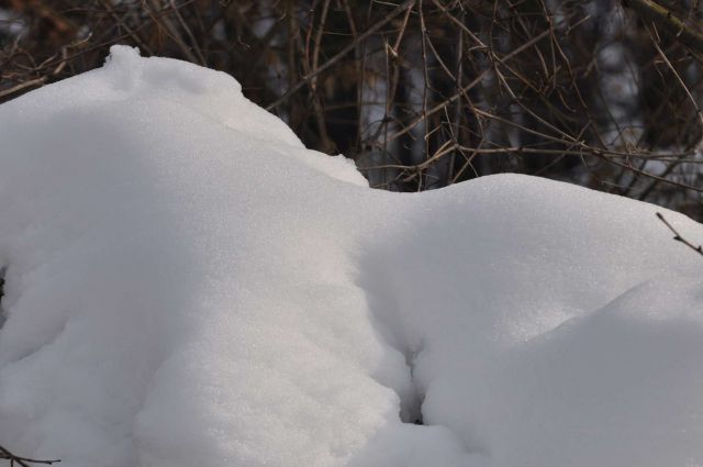 Pust, pohod Celjska koča 16.2.2013 - foto