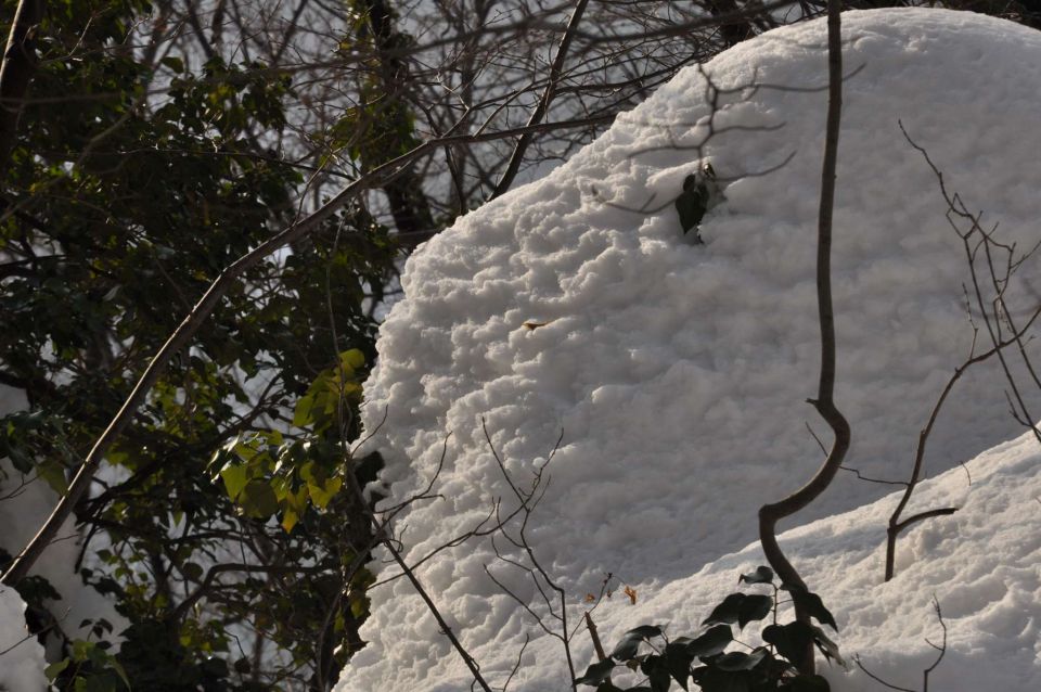 Pust, pohod Celjska koča 16.2.2013 - foto povečava