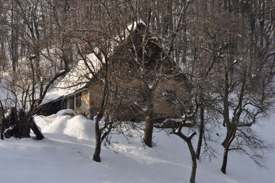 Pust, pohod Celjska koča 16.2.2013 - foto povečava