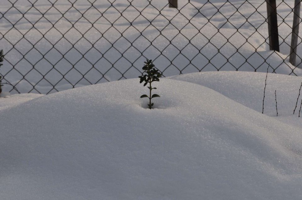 Pust, pohod Celjska koča 16.2.2013 - foto povečava