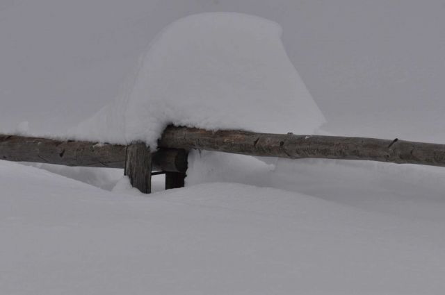 Savinjska 23.2.2013 - foto