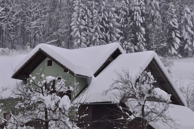 Savinjska 23.2.2013 - foto