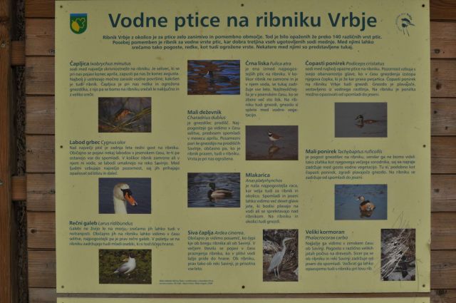 Ribnik Vrbje, eko park 4.5.2013 - foto