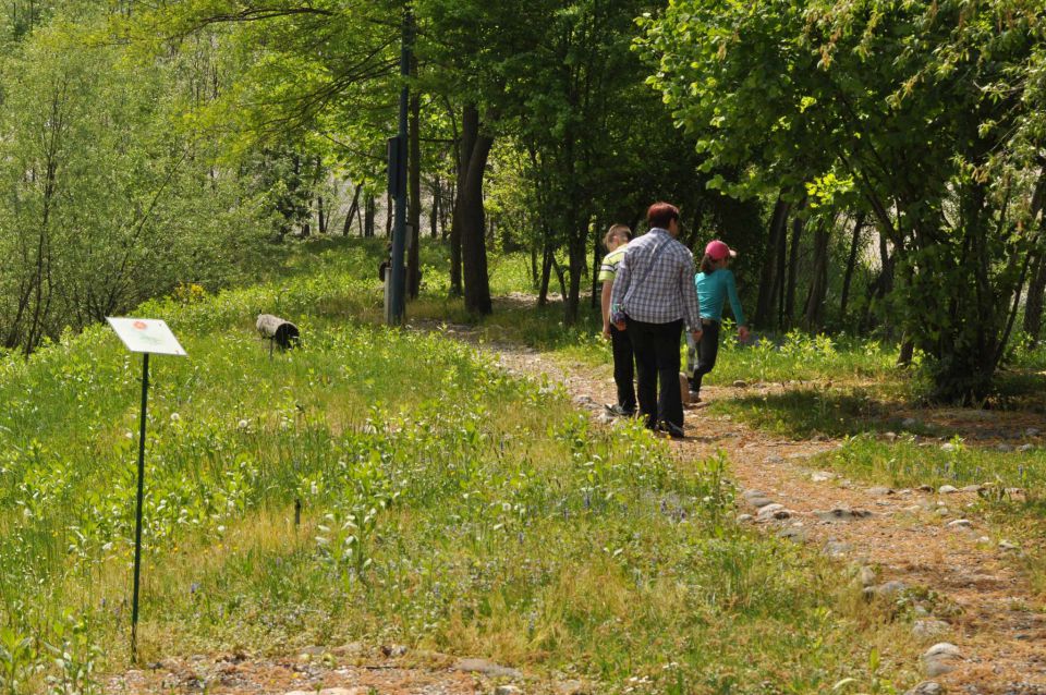 Ribnik Vrbje, eko park 4.5.2013 - foto povečava