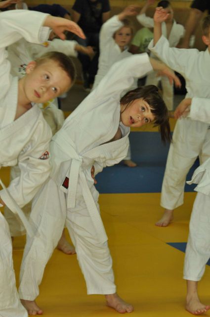 Nina judo tekma 18.5.2013 - foto