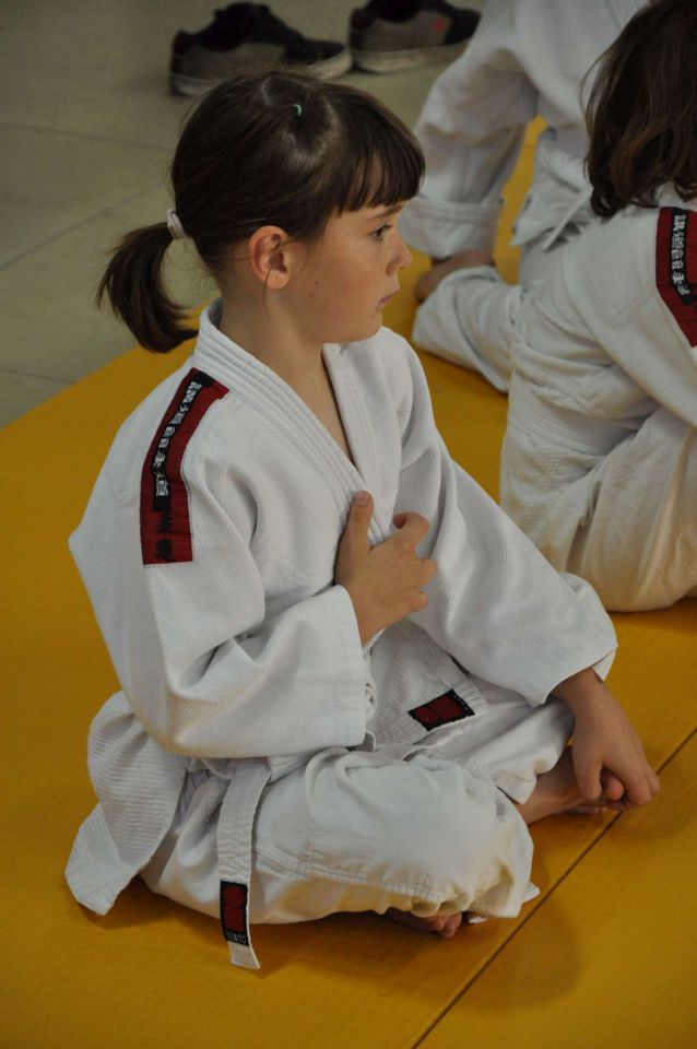 Nina judo tekma 18.5.2013 - foto povečava