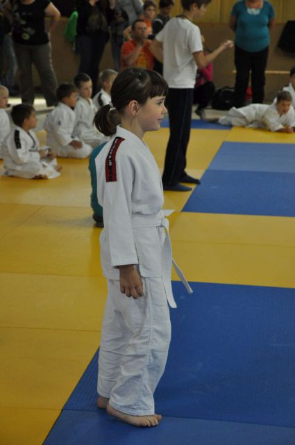 Nina judo tekma 18.5.2013 - foto