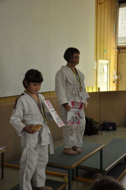 Nina judo tekma 18.5.2013 - foto