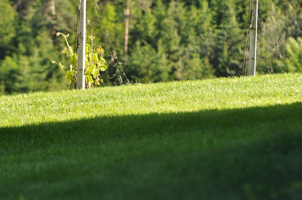 Sprehod 18.5.2013 - foto povečava