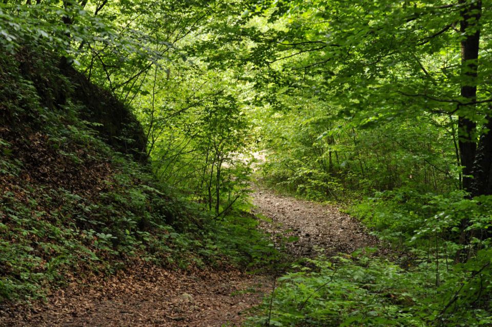 Limbarska gora, Braslovško jezero 26.5.2013 - foto povečava