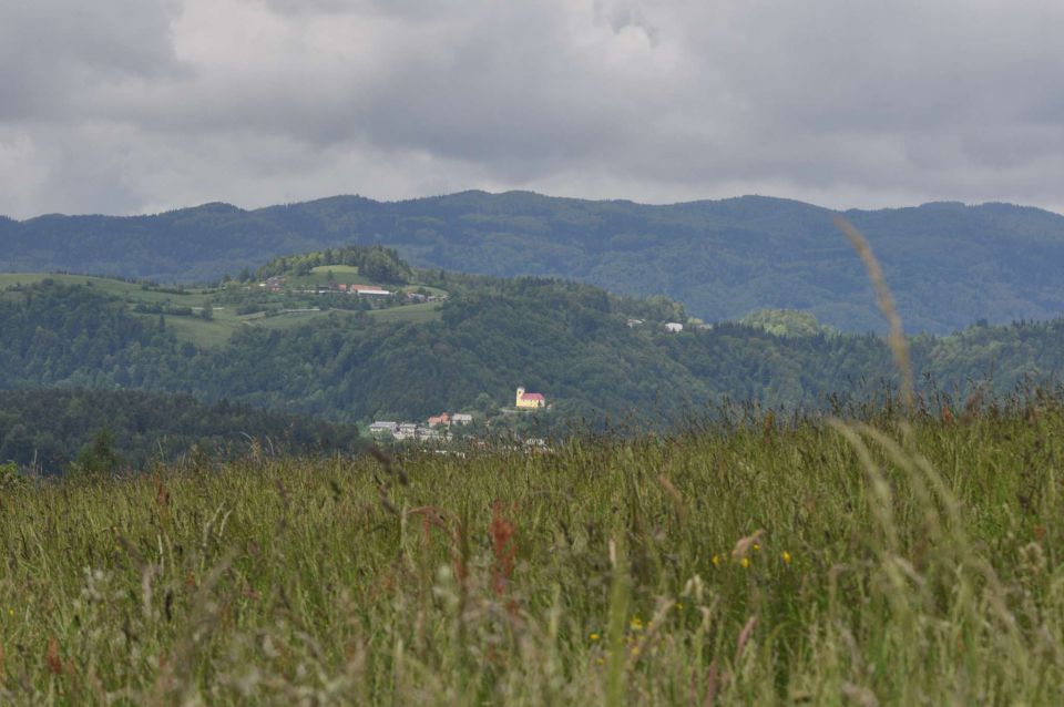 Limbarska gora, Braslovško jezero 26.5.2013 - foto povečava