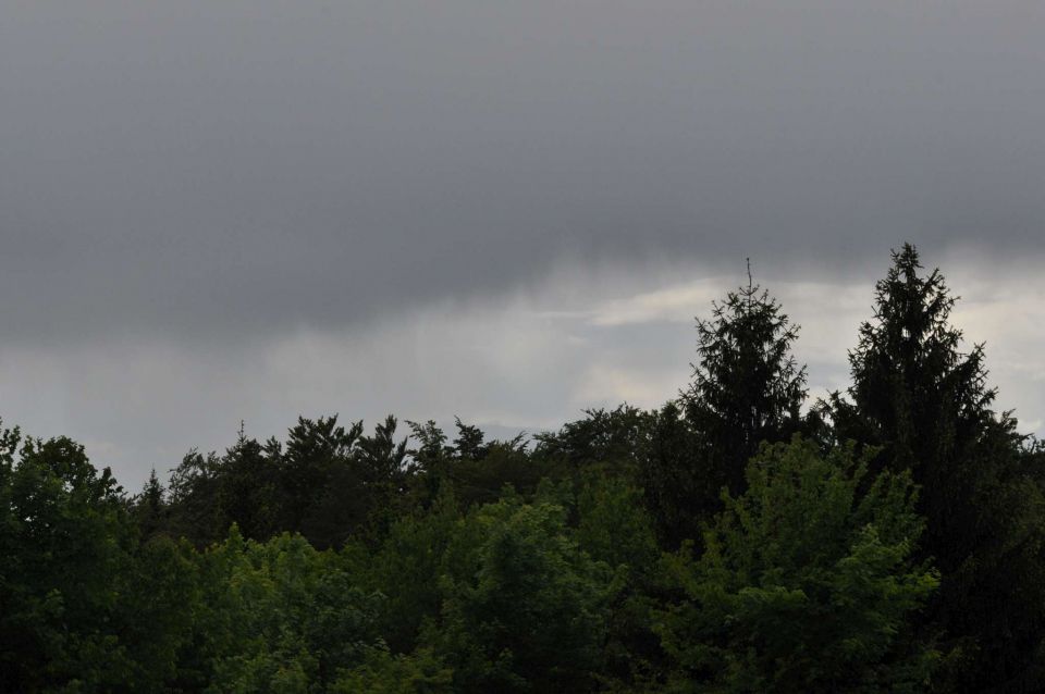 Limbarska gora, Braslovško jezero 26.5.2013 - foto povečava