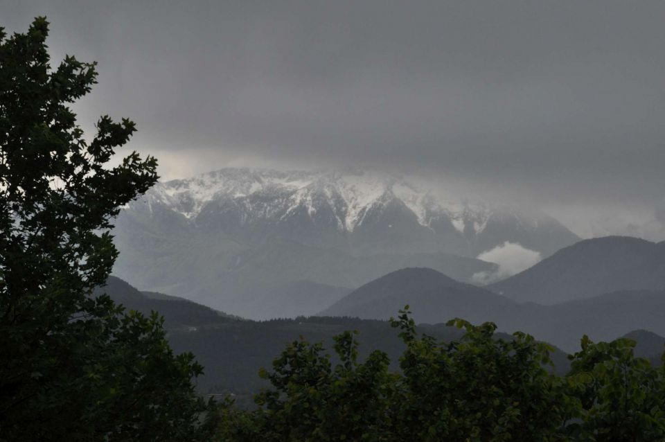 Limbarska gora, Braslovško jezero 26.5.2013 - foto povečava