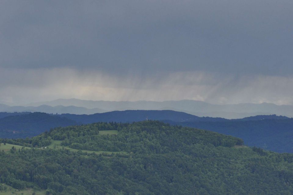 Limbarska gora, Braslovško jezero 26.5.2013 - foto povečava