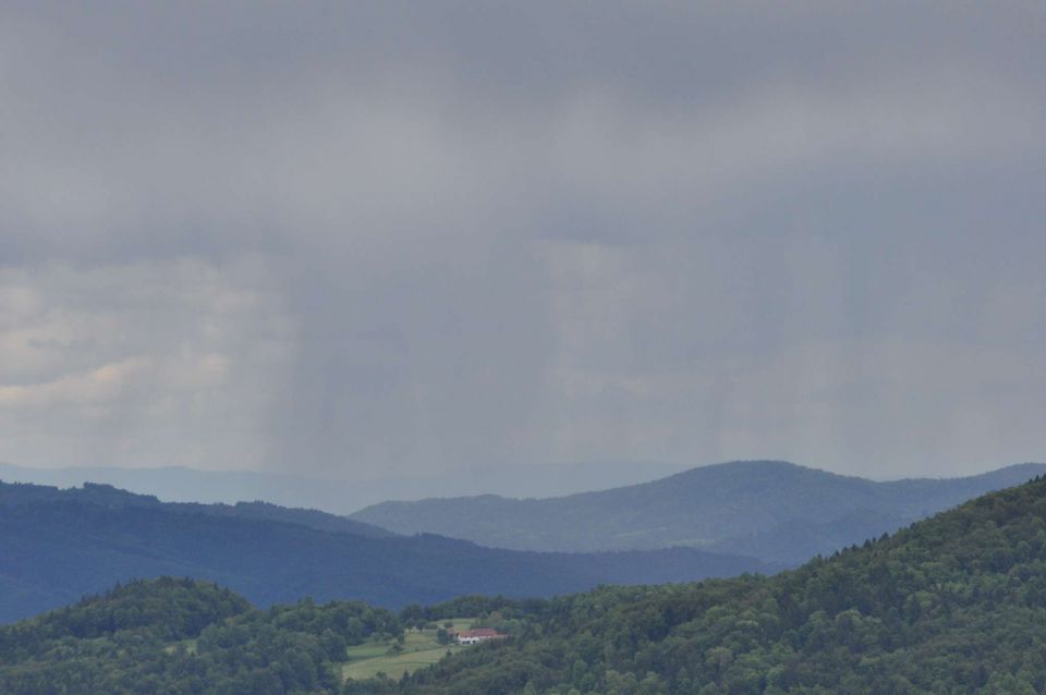 Limbarska gora, Braslovško jezero 26.5.2013 - foto povečava