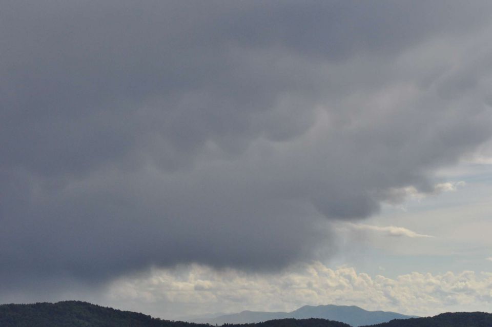 Limbarska gora, Braslovško jezero 26.5.2013 - foto povečava