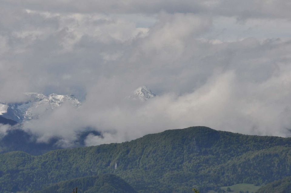 Limbarska gora, Braslovško jezero 26.5.2013 - foto povečava