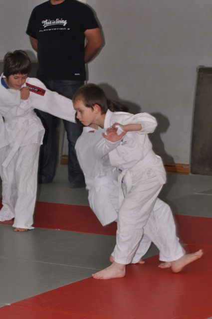 Nina Judo belo rumeni pas 27.5.2013 - foto