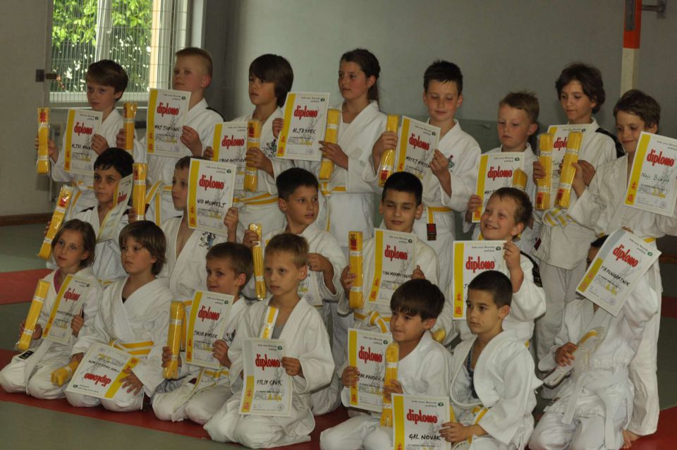 Matej Judo rumeni pas 29.5.2013 - foto povečava